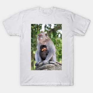 a monkey and baby sitting on a branch in ubud in bali T-Shirt